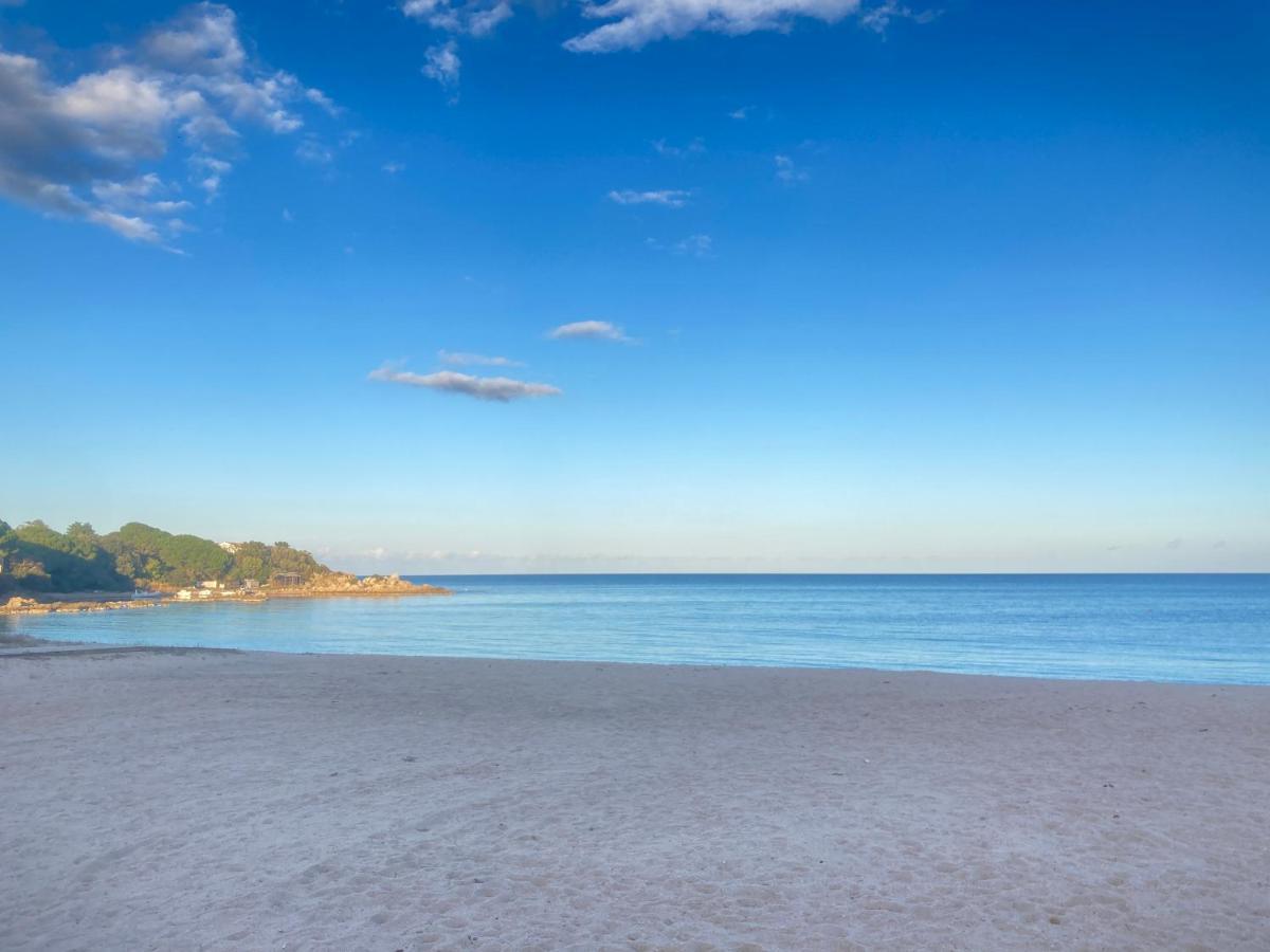 Les Lodges De La Plage U Dragulinu Sari-Solenzara Ngoại thất bức ảnh